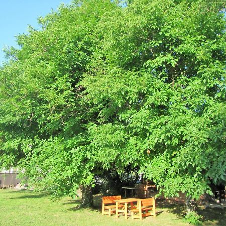 Bed and Breakfast Pod Orehi Postojna Exterior foto