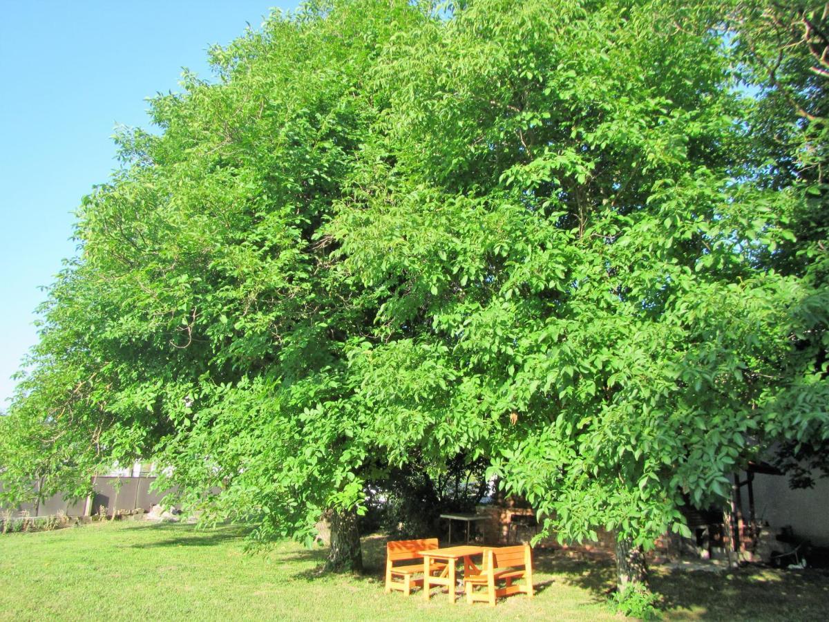 Bed and Breakfast Pod Orehi Postojna Exterior foto