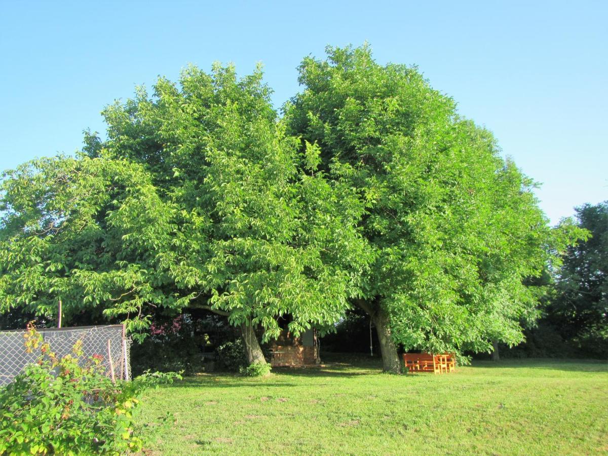 Bed and Breakfast Pod Orehi Postojna Exterior foto