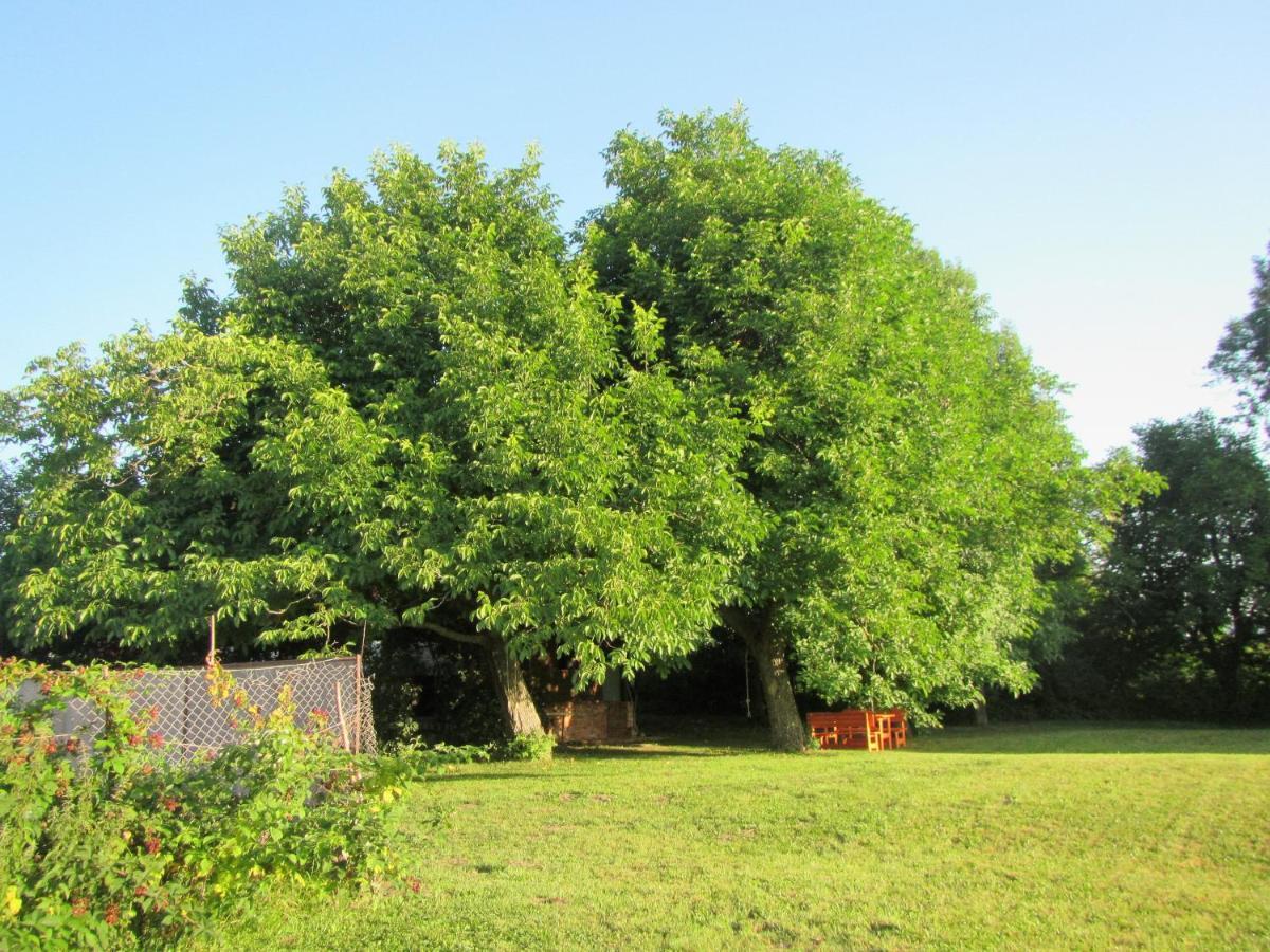 Bed and Breakfast Pod Orehi Postojna Exterior foto