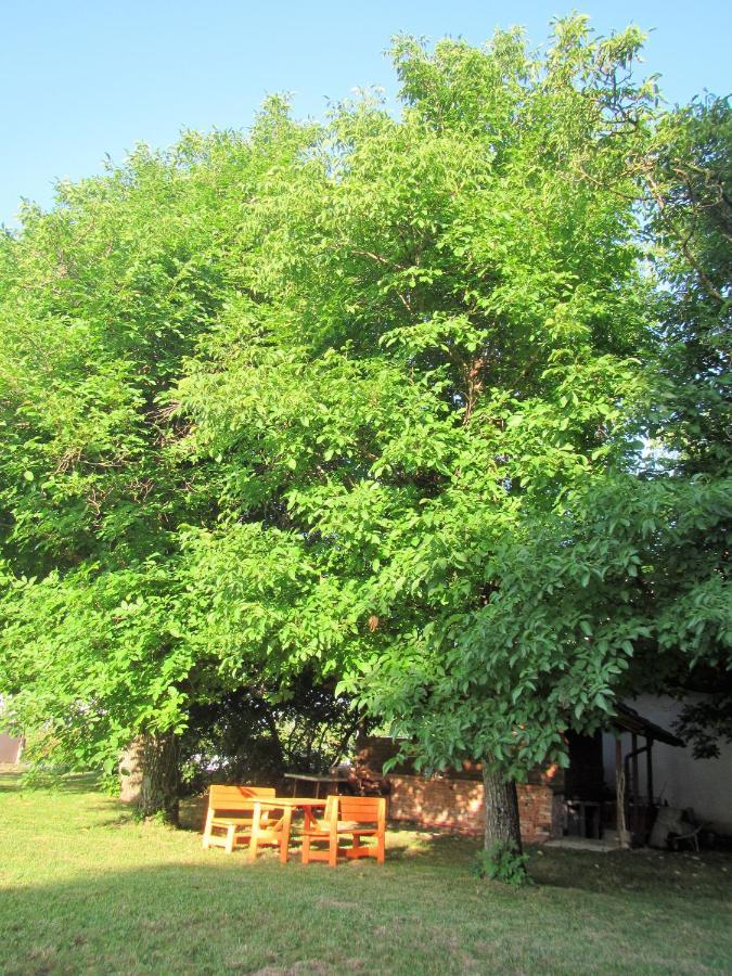 Bed and Breakfast Pod Orehi Postojna Exterior foto