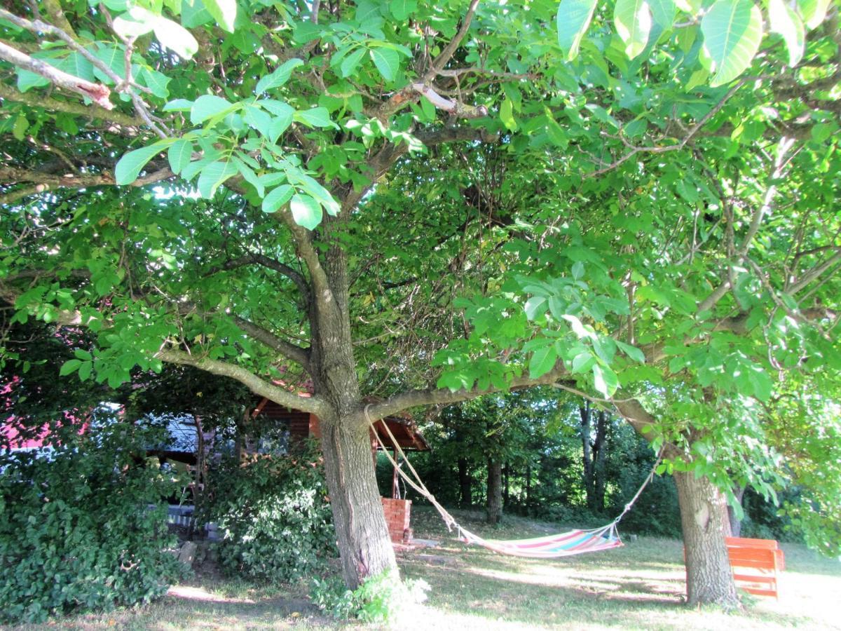 Bed and Breakfast Pod Orehi Postojna Exterior foto